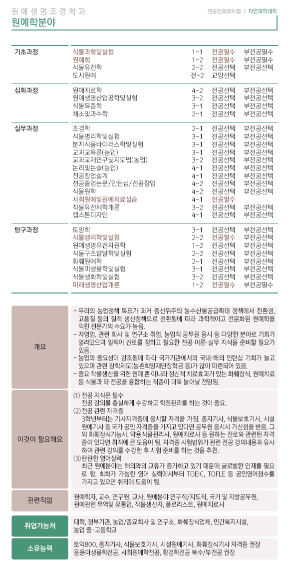 전공로드맵